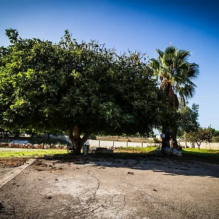I Giardini Dell'agave Apartment Torre Santa Sabina