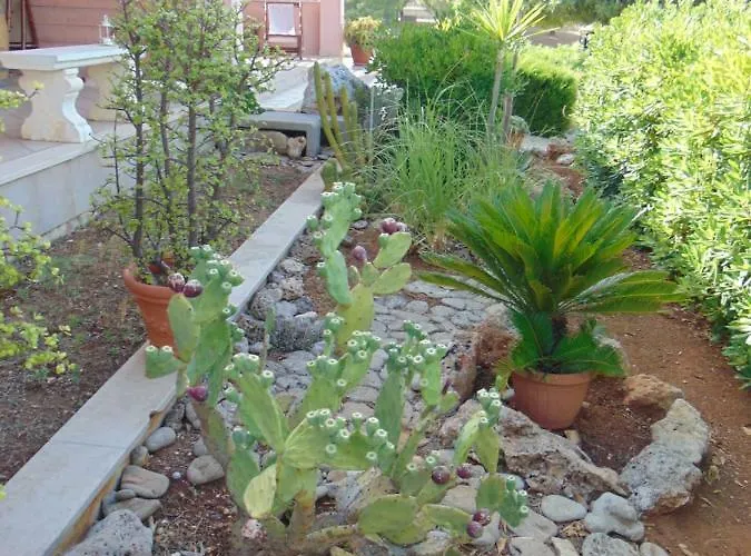 I Giardini Dell'agave * Torre Santa Sabina