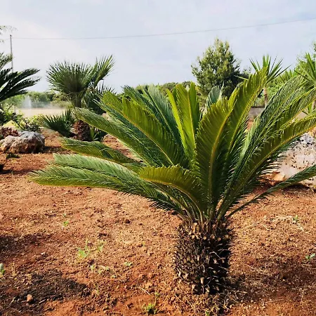 I Giardini Dell'agave Daire *